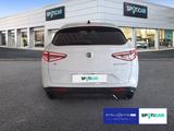 Alfa Romeo Stelvio 2.0 Turbo 16V Veloce Q 4 AT8 - Alfa Romeo aus 2024