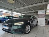 Audi A5 Sportback 2.0 TFSI "Nussbaumwurzel" - Audi: Grün