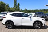 Lexus NX 450h+ 2.5 E-Four - Lexus NX 450h Gebrauchtwagen