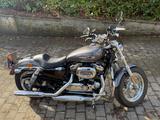 Harley-Davidson HARLEY-DAVIDSON, SPORTSTER Custom, XL 1200C
