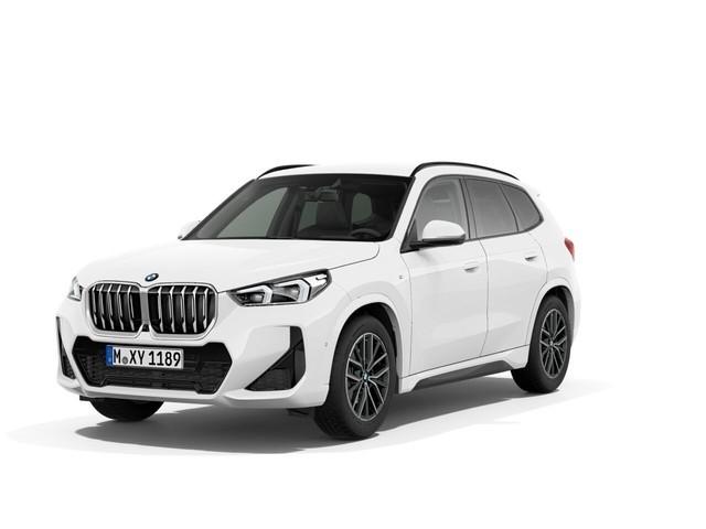BMW X1 xDrive20d Steptronic M Sportpaket Head-Up AHK