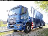 MAN TGM (TG3) 18.320 4x2 BL CH Glastransporter Hegla - MAN Gl