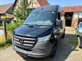 Mercedes-Benz Sprinter III Kasten 315 CDI FWD L1/H3 - Mercedes-Benz Sprinter aus 2022