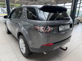 Land Rover Discovery Sport SE AWD - Land Rover Discovery in Duisburg