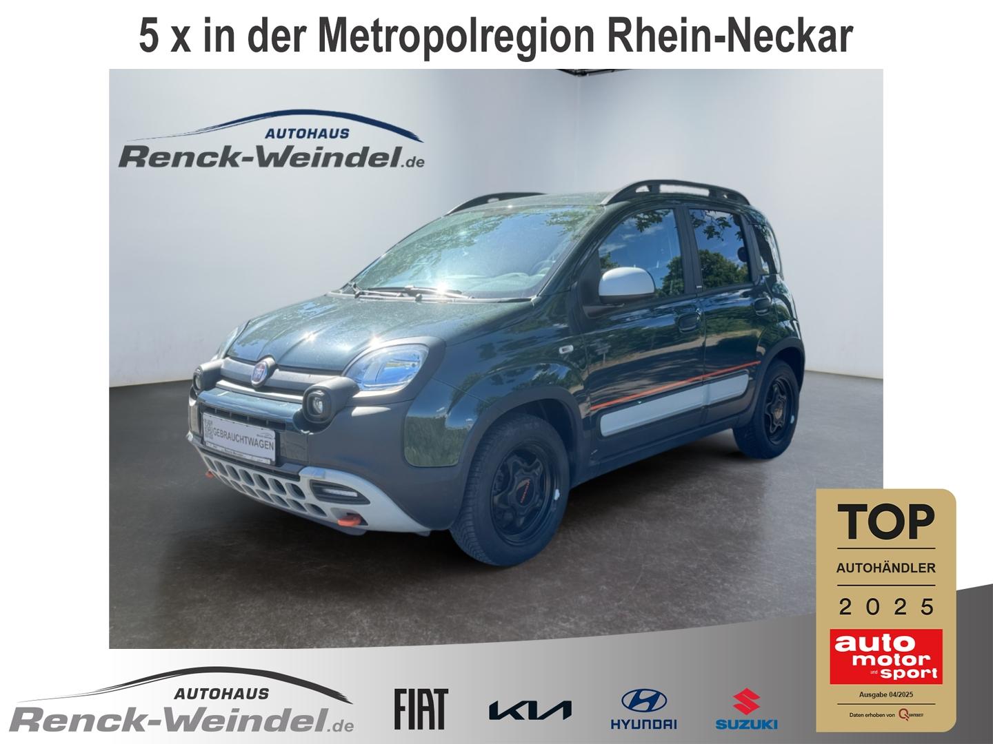 Fiat Panda Garmin Klimaautom DAB Allwetterreifen teil