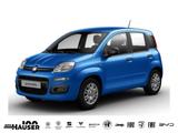 Fiat Panda ICON Hybrid 1.0 GSE KLIMA PDC TEMPOMAT - Fiat Gebrauchtwagen