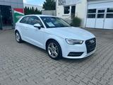 Audi A3 ambition ultra Automatik LED Navi Winterpaket - Audi A3: Automat
