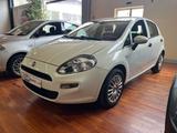 Fiat FIAT Punto 1.2 8V 5 porte Street - gebrauchte Fiat Punto aus dem Jahr 2016