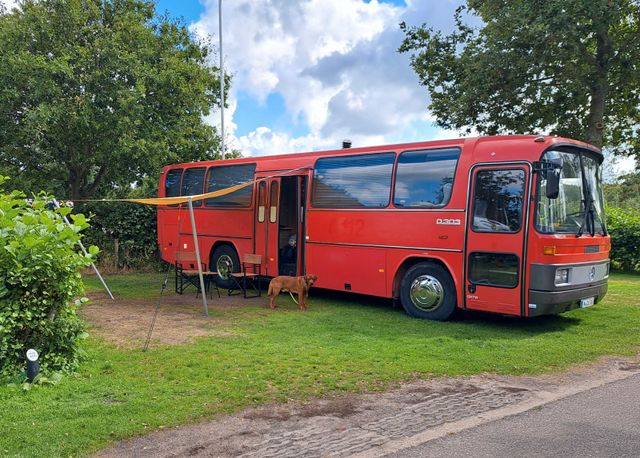 Mercedes-Benz O 303 Wohnbus