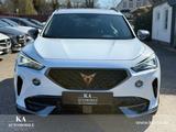 Cupra Formentor 2.0 TDI 4D Kamera Pano Leder Acc Carpl - Cupra Formentor mit Diesel-Antrieb: Automatik
