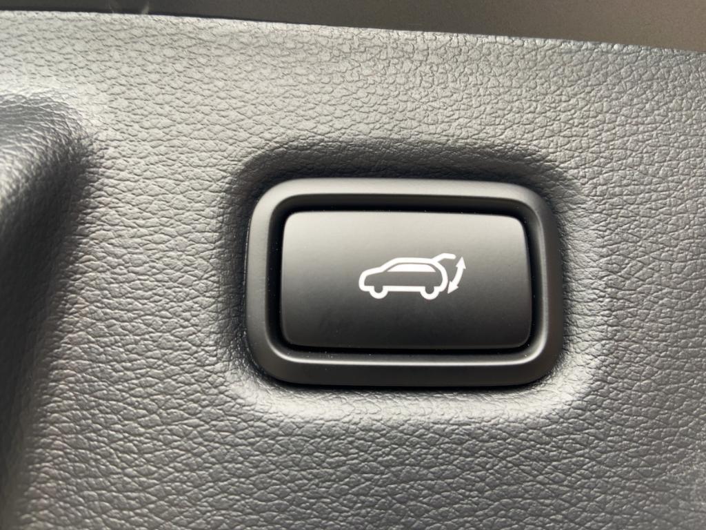 Kia Ceed_sw Sportswagon Spirit 1.5 T-GDI DCT7 Techn.