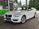 BMW 218 Cabrio 218 I Advantage / Scheckheft / PDC - BMW 218 in Hamburg