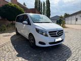 Mercedes-Benz V 200 d RISE kompakt Rise Top Einzelsitze  - Mercedes-Benz V 200 Gebrauchtwagen