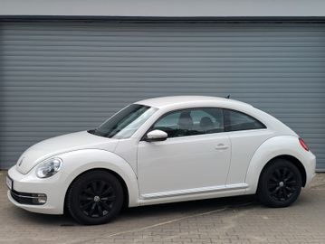Volkswagen Beetle - 5