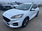 Ford Kuga Plug-In Hybrid ST-Line X *ACC/Winter/AHK* - Ford Kuga: Weiß