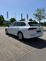 Volkswagen Golf 1.5 eTSI 150 PS DSG Life Business-Paket   - Volkswagen Golf: 150 Ps