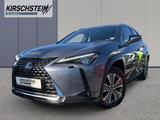 Lexus UX 300e Luxury Head-Up Kamera Navi Leder Sitzkli - Lexus Gebrauchtwagen von 2022
