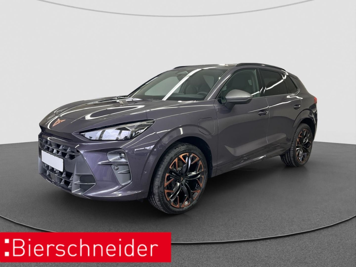 Cupra Terramar 1.5 e-HYBRID DSG VZ TOP-VIEW AHK ACC