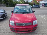 Fiat Panda 1.2 8V Dynamic * Kein Tüv *  Alu * - gebrauchte Fiat Panda aus dem Jahr 2008