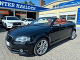 Audi A3 Cabriolet Ambition-Sport*Leder*S-Heft*18"TOP" - Audi A3: 18