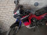 Honda Transalp PD06 - HONDA TRANSALP PD06