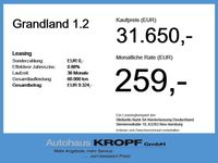 Opel Grandland (X) - Vorschau Bild 4