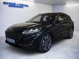 Ford Kuga 2.0 EcoBlue 4x4 Aut. ST-LINE X - Ford Kuga mit Diesel-Antrieb: Allradantrieb, 2.0