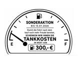 Seat Ibiza 1.0 TSI Style inkl. 300,-€ Tankgutschein L - Seat Ibiza: 1.3