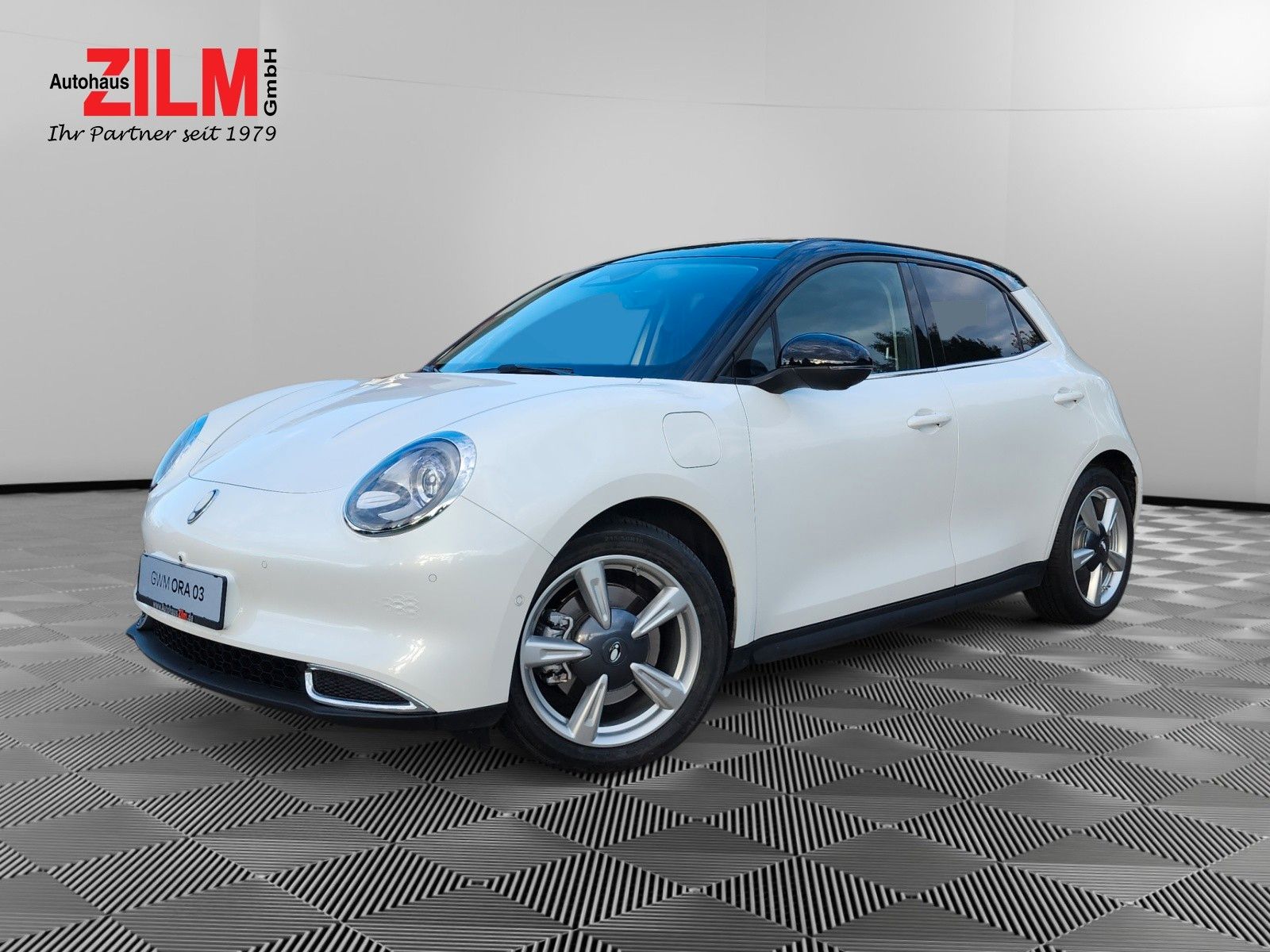 GWM Ora 03 - Bild 1
