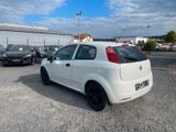 Fiat Grande Punto 1.2 8V Basis/ TÜV UND AU NEU - Fiat Grande Punto: Weiß