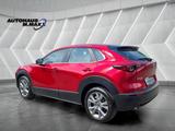 Mazda CX-30 Selection AWD ACC Spur Kamera HeadUp Apple - Mazda CX-3: Awd