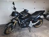 Honda Hornet CB600FA - HONDA HORNET 600