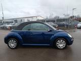 Volkswagen New Beetle Cabriolet 1.4  Exclusive-Paket - Volkswagen New Beetle mit Benzin-Antrieb: Cabrio, 1.4