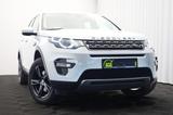 Land Rover Discovery Sport SE AWD RFKMRA+E-SITZE+P-DACH+XEN - Land Rover: Sport