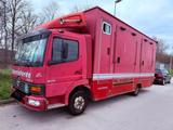 Mercedes-Benz ATEGO 815 LKW 4 PFERDE PLATZE - Tier-/Pferdetransport 4 pferde