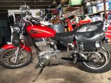 Suzuki Savage LS 650 - SUZUKI SAVAGE