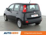 Fiat Panda 1.2 Pop*KLIMA*CD*GARANTIE* - Fiat Panda Gebrauchtwagen