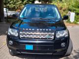 Land Rover Freelander TD4 SE SE - Land Rover Freelander aus 2013