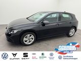 Volkswagen Golf 8 1.5 TSI Life NaviLED - Volkswagen Golf mit Benzin-Antrieb: Kleinwagen, 1.8