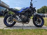 Yamaha MT-07 Zard Auspuff Sturzpads Rizoma - YAMAHA MT07