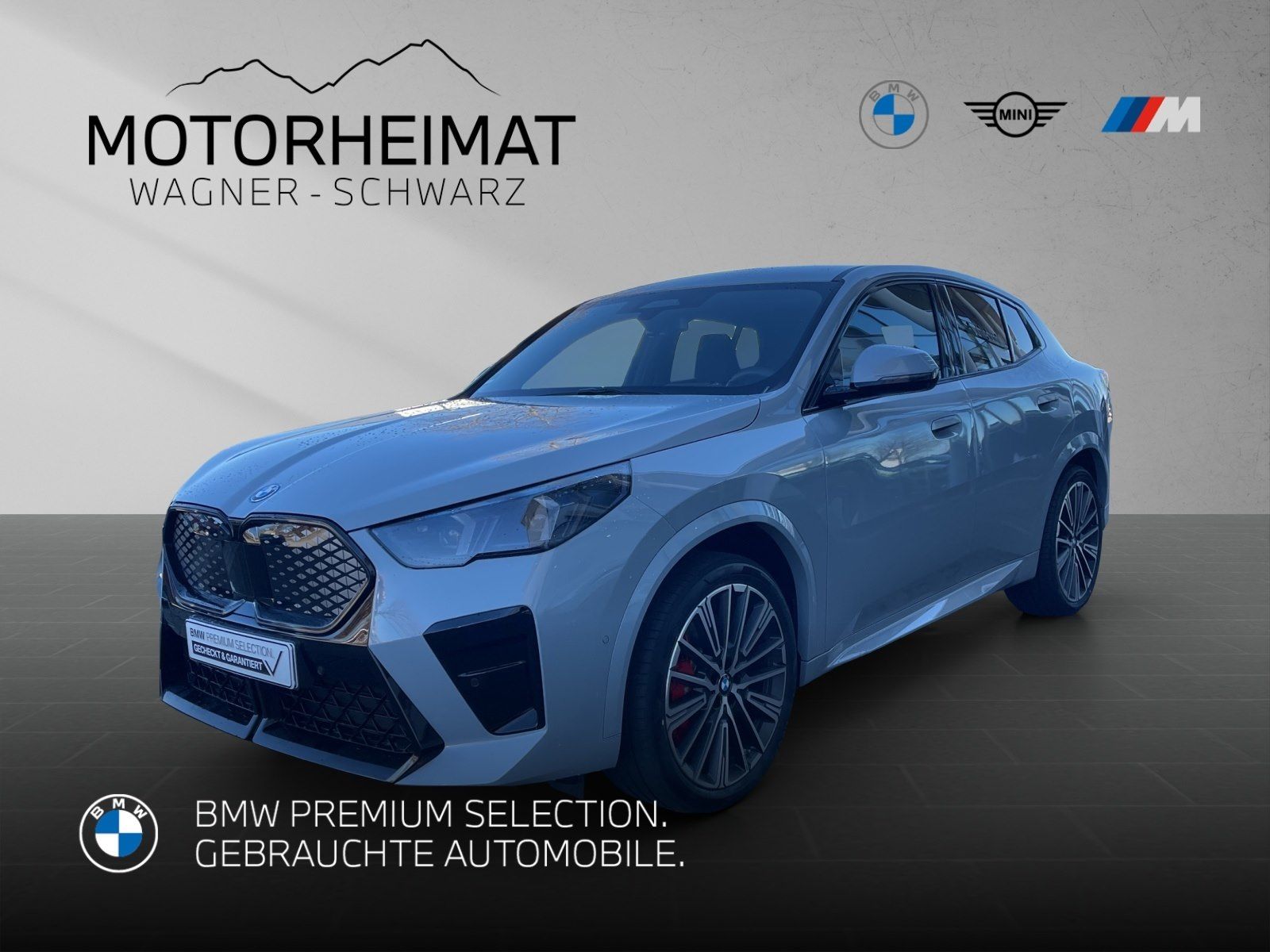 BMW iX2 eDrive20 M Sport Pro 20" HUD 360°H/K AHK