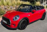 MINI Cooper Cabrio Cooper - rote MINI Cooper Cabrio
