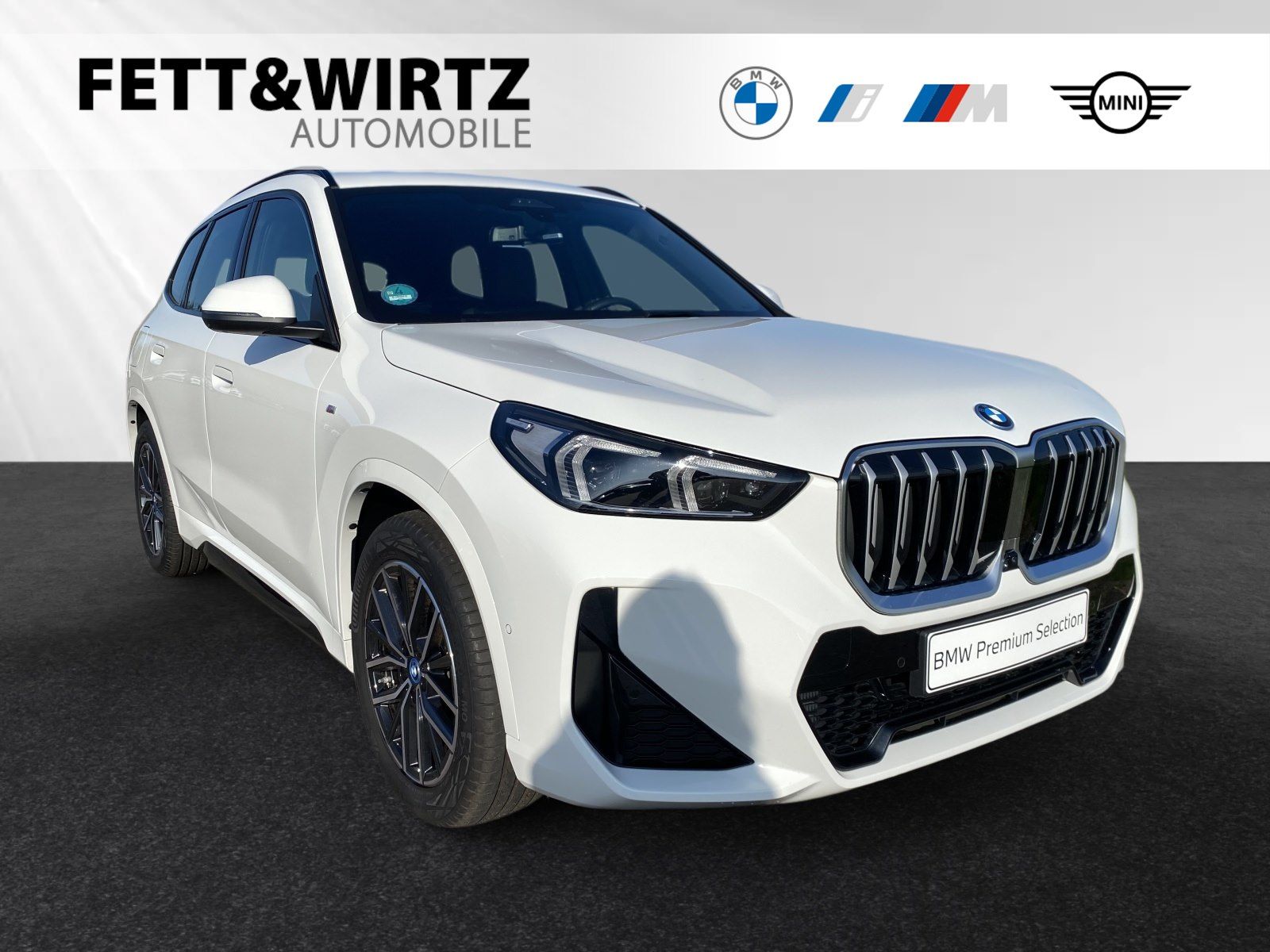 BMW X1 xDrive25e M Sport Head-Up DA&PA 18 LMR foto 1