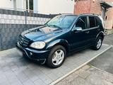 Mercedes-Benz Mercedes ML 270 CDI / w 163 AMG-Optik AHK ALU - gebrauchte Mercedes-Benz ML 270 aus dem Jahr 2002