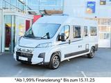 Fiat CV 600 Pro  Aut.*Combi6E*Markise*Virt.Cockpit* - Fiat Neu Kastenwagen