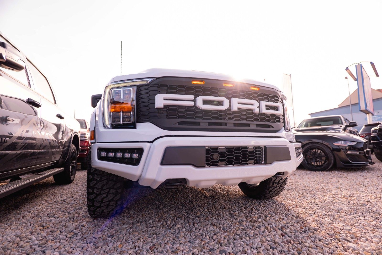 Fahrzeugabbildung Ford F150 5.0L V8 4x4 Offroad SuperCrew RAPTOR 19%