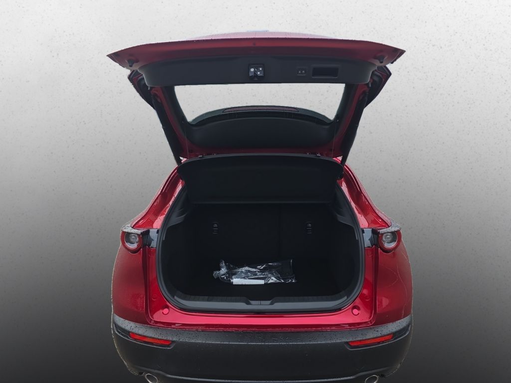 MAZDA CX-30 HOMURA 2.5G 140PS AT Navi Kamera LED-Licht MAZDA CX-30 HOMURA 2.5G 140PS AT Navi Kamera LED-Licht