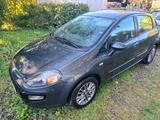 Fiat Punto 1.2 nur 69.000 km - gepflegt-Kl... - Fiat Punto in Frankfurt (Main)