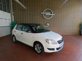 Skoda Fabia Cool Edition-Allwetter/Klima - Skoda Fabia Edition mit Benzin-Antrieb