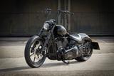 Harley-Davidson FXBRS Softail Breakout 300 Ricks - Offers